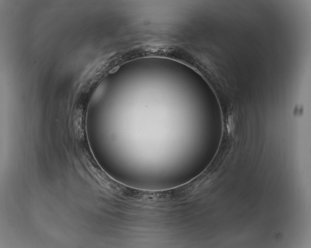 X0000112051396200908041139