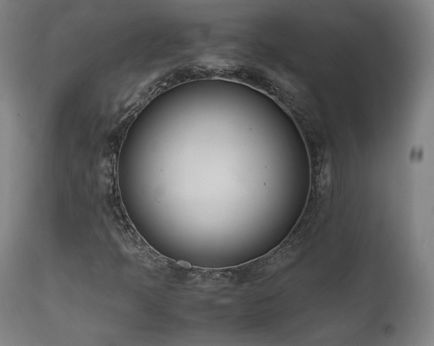 X0000112051397200908041139