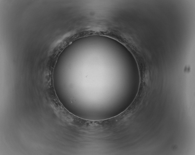 X0000112051398200908041139