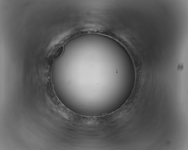 X0000112051399200908041140