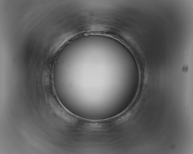 X0000112051401200908041140
