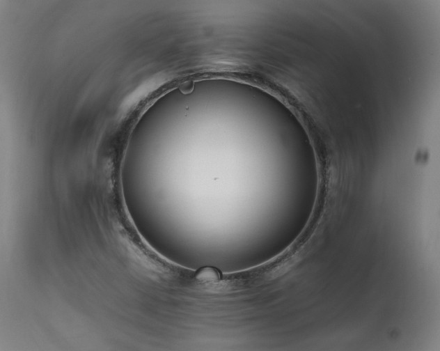X0000112051402200908041140