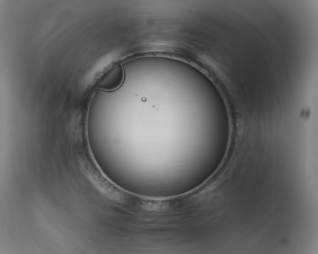 X0000112051403200908041140