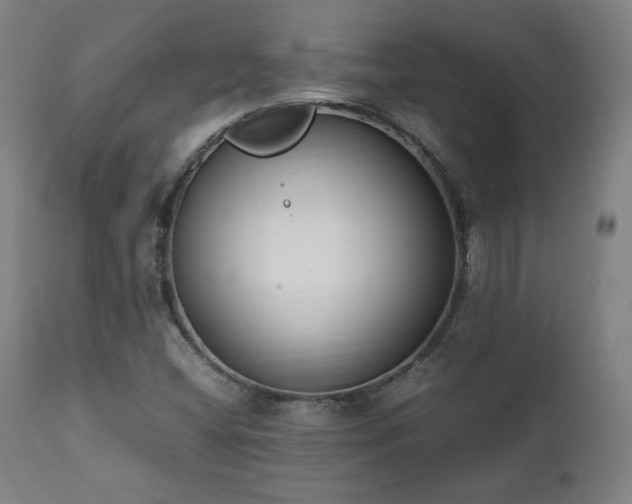 X0000112051404200908041140