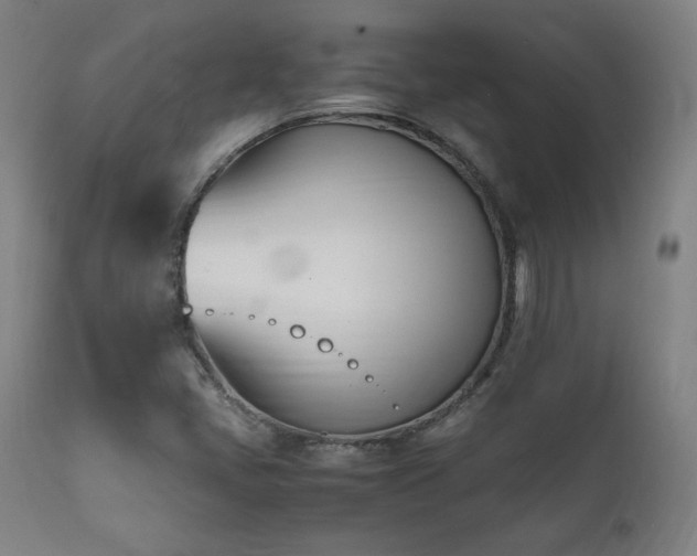 X0000112051405200908041140