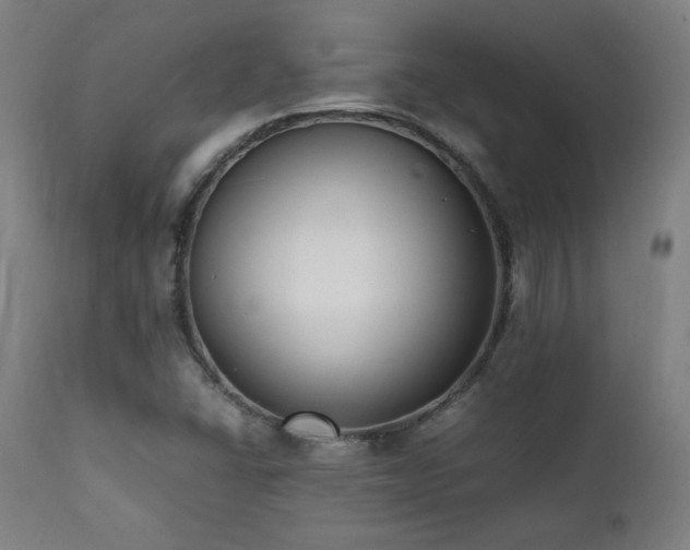 X0000112051406200908041140