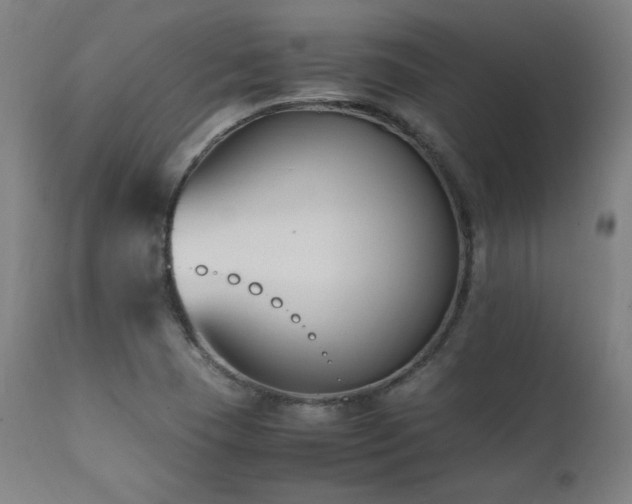 X0000112051409200908041140