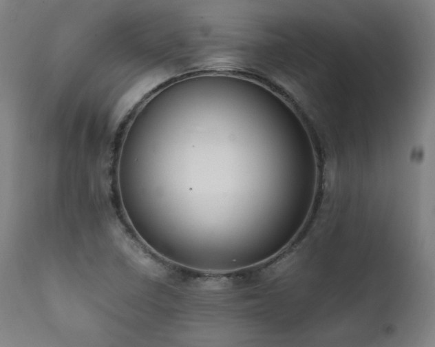 X0000112051410200908041140