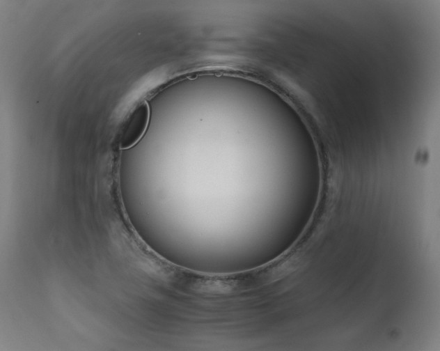 X0000112051411200908041140