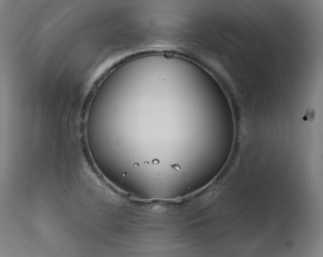 X0000112051412200908041140