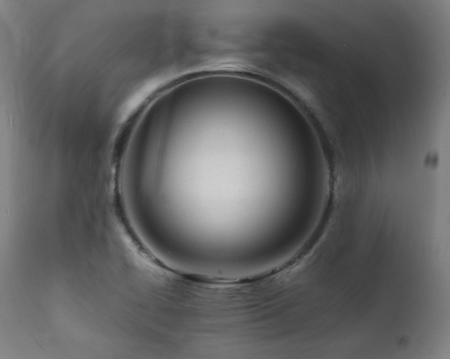 X0000112051414200908041140