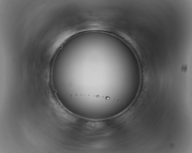 X0000112051415200908041140