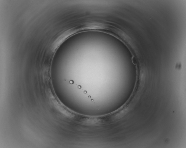 X0000112051417200908041140