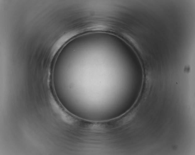 X0000112051418200908041140