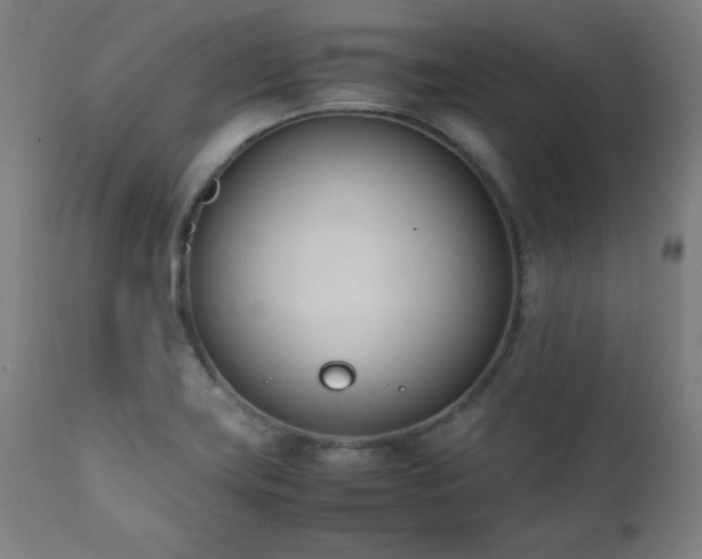 X0000112051419200908041140