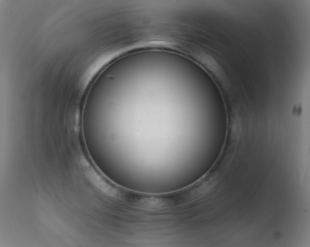 X0000112051420200908041140