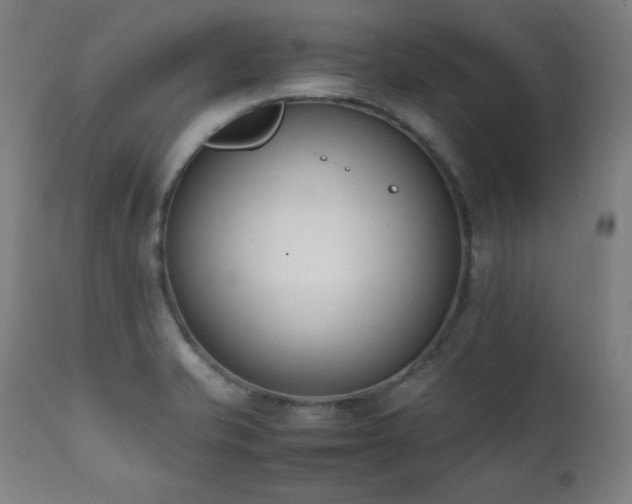 X0000112051421200908041140