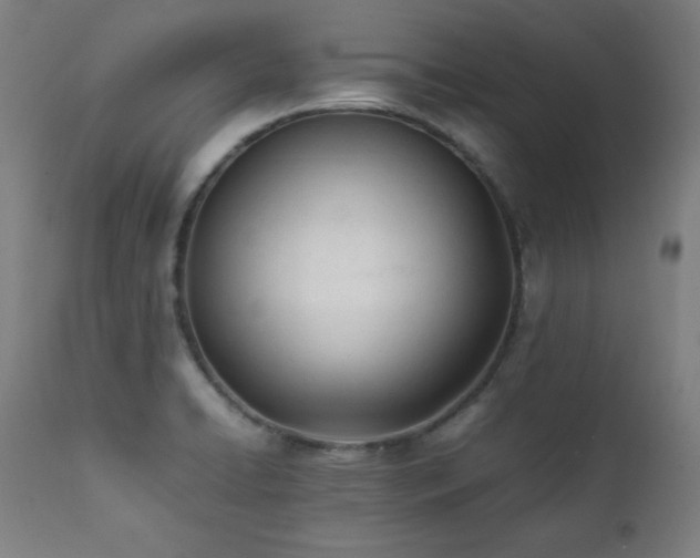 X0000112051422200908041140