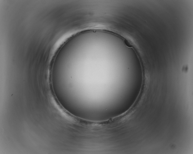 X0000112051424200908041140