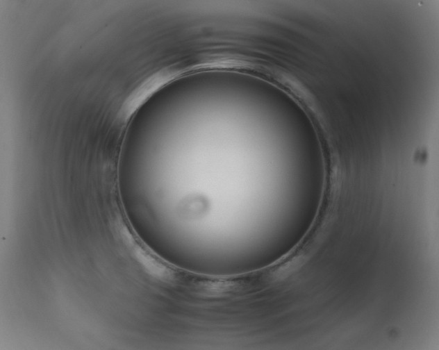 X0000112051425200908041140