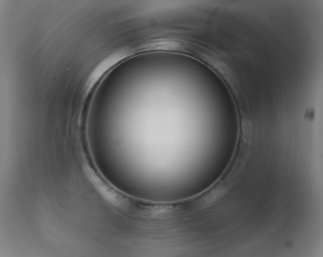 X0000112051426200908041140