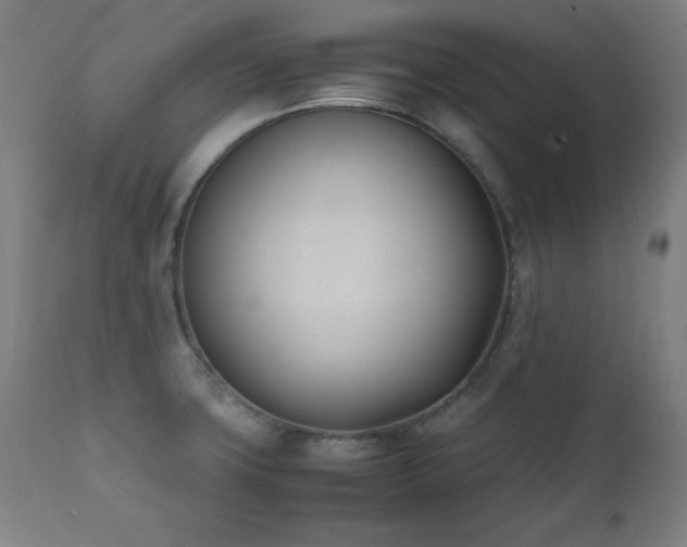 X0000112051427200908041140