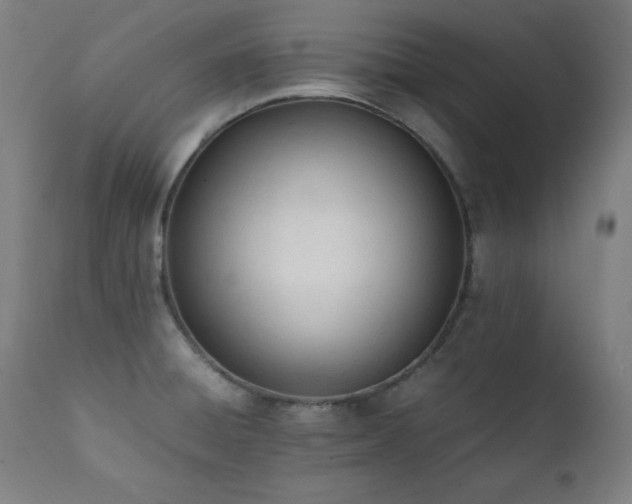 X0000112051428200908041140