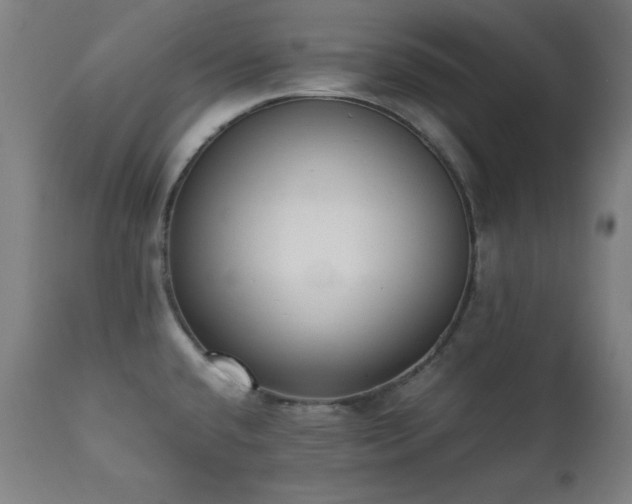 X0000112051432200908041140