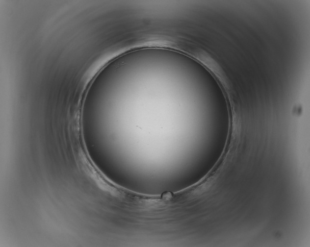 X0000112051436200908041140