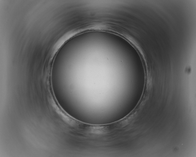 X0000112051437200908041140