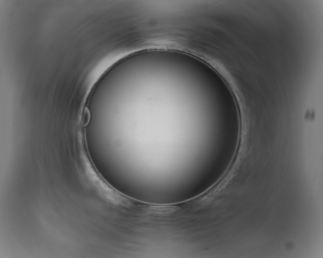 X0000112051440200908041140