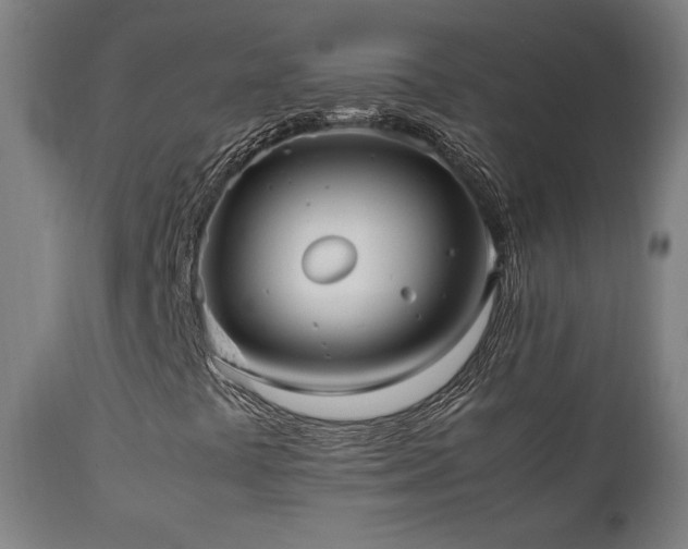 X0000112051441200908041139