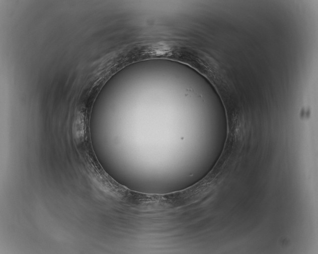 X0000112051442200908041139