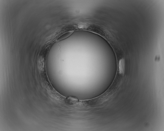 X0000112051443200908041139