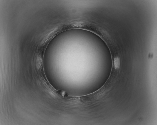 X0000112051444200908041139