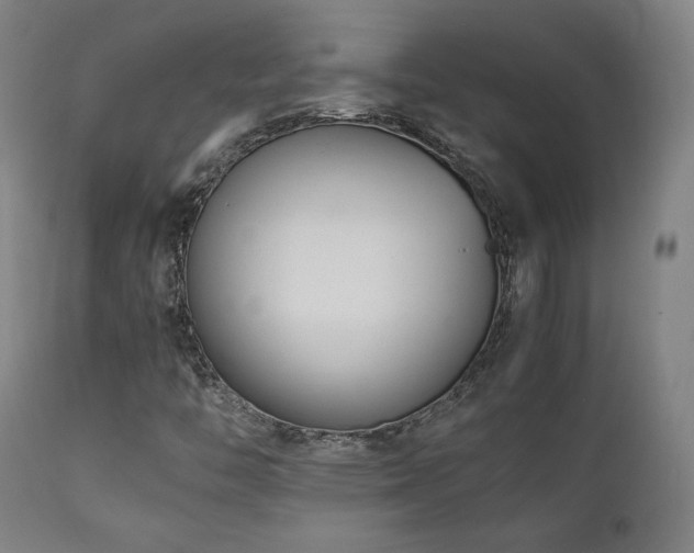 X0000112051446200908041139