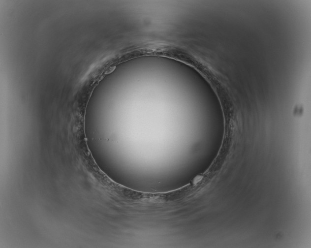 X0000112051447200908041139