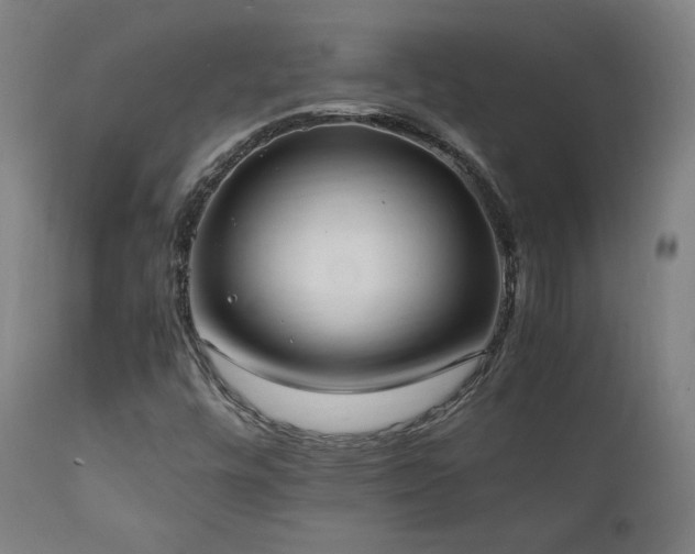 X0000112051448200908041139