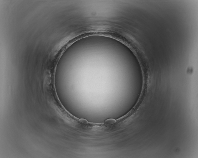 X0000112051449200908041139
