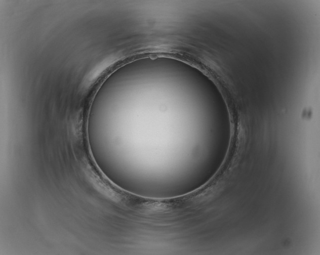 X0000112051450200908041139