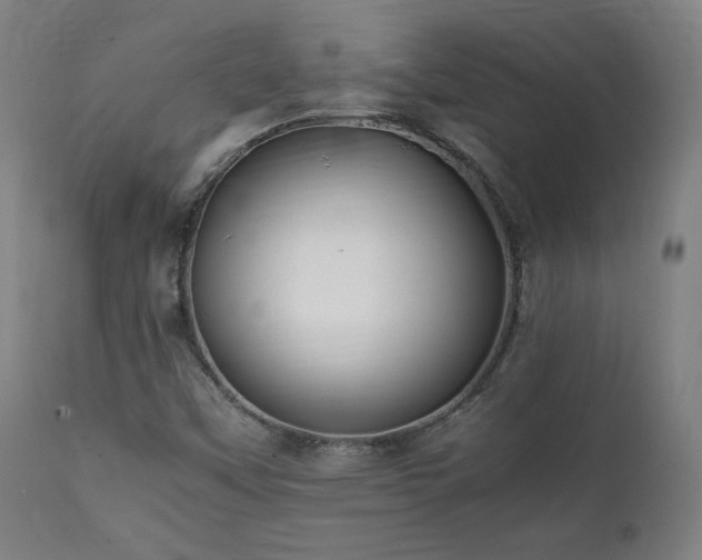 X0000112051451200908041139