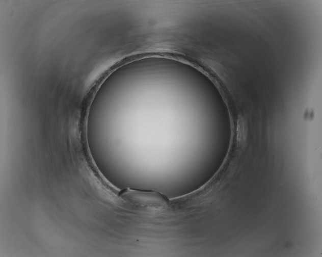 X0000112051452200908041139