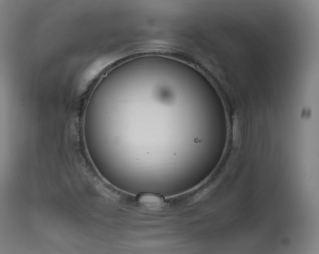 X0000112051453200908041139