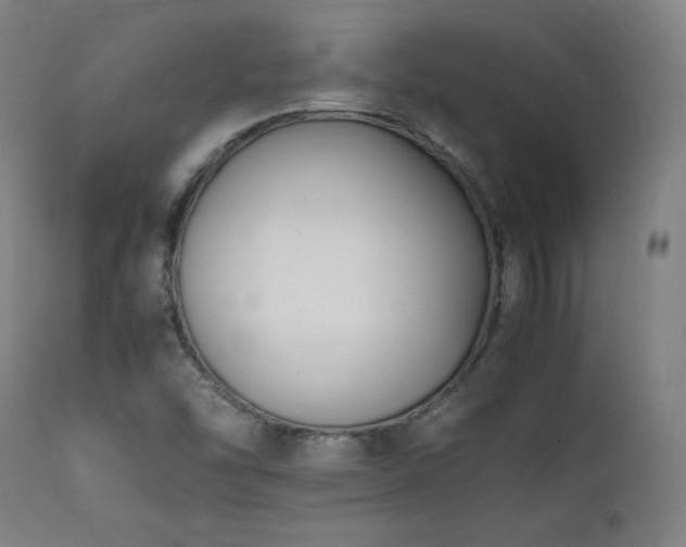 X0000112051454200908041139