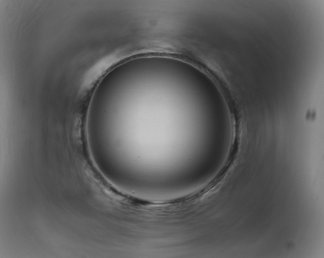 X0000112051455200908041139