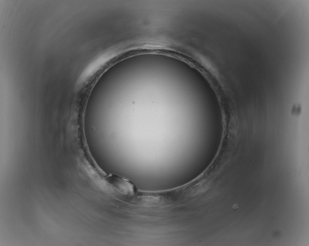 X0000112051456200908041139