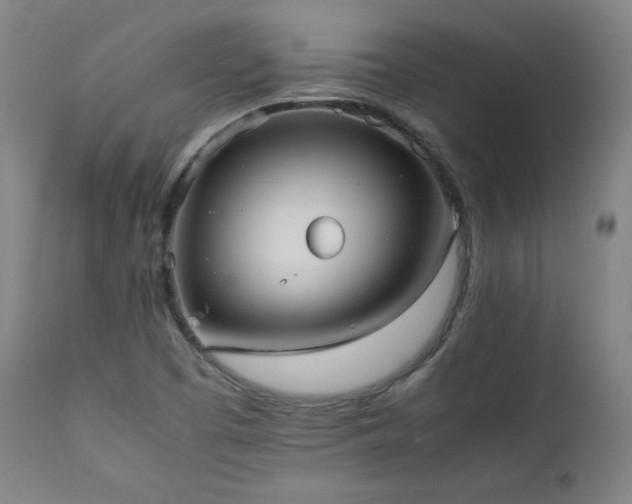 X0000112051457200908041139