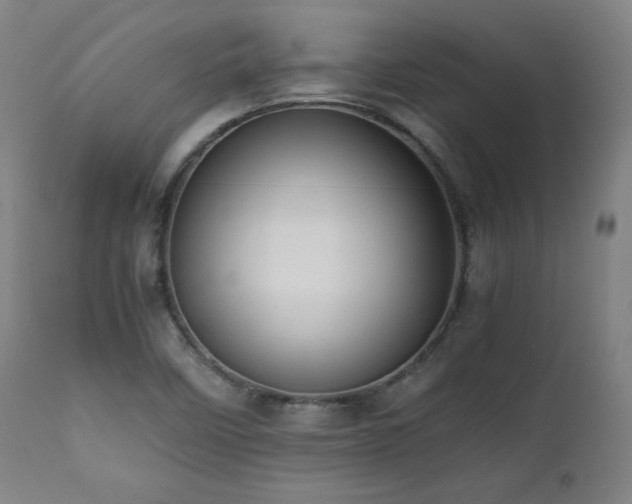 X0000112051458200908041139