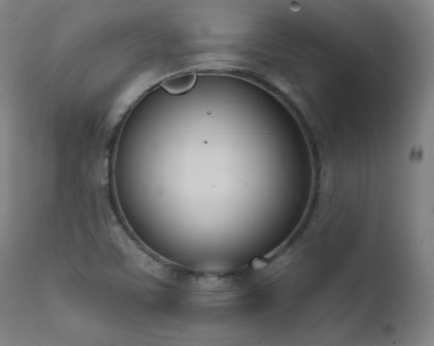 X0000112051459200908041139