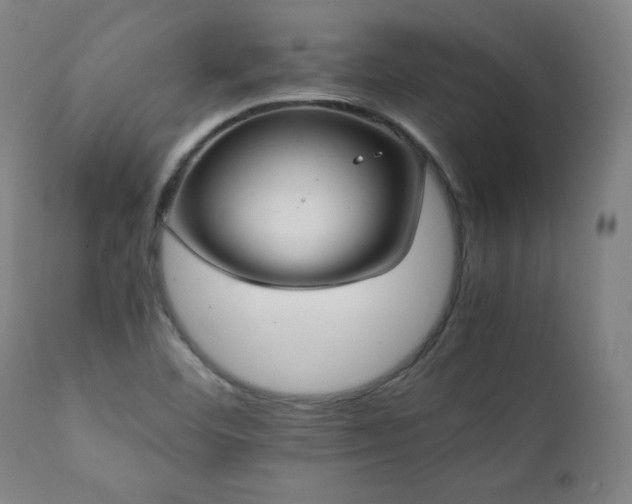 X0000112051460200908041139